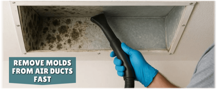 Air Duct Mold Removal in Boston MA